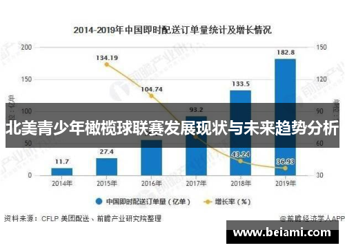 北美青少年橄榄球联赛发展现状与未来趋势分析