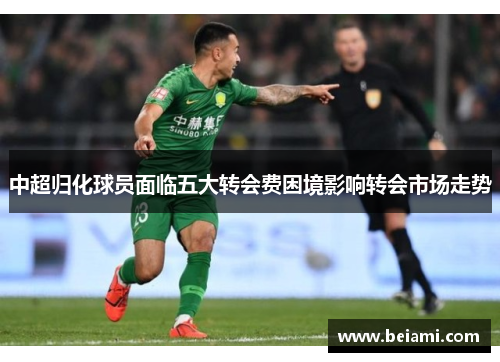 中超归化球员面临五大转会费困境影响转会市场走势