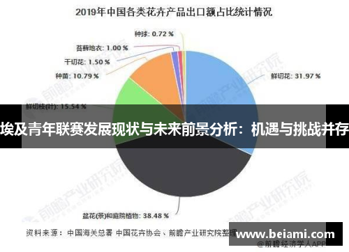 埃及青年联赛发展现状与未来前景分析：机遇与挑战并存