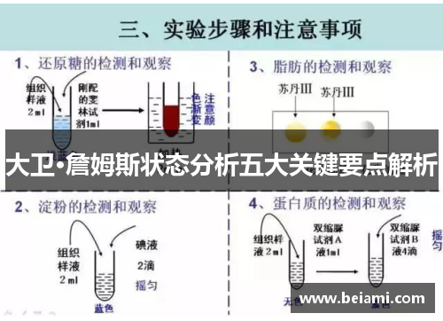大卫·詹姆斯状态分析五大关键要点解析