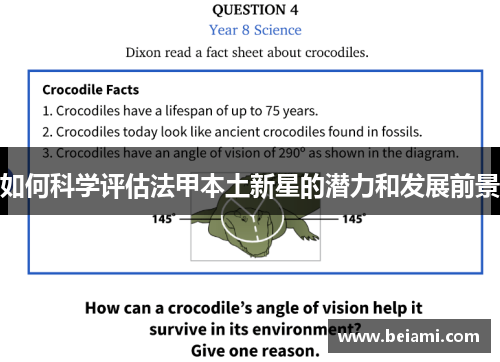如何科学评估法甲本土新星的潜力和发展前景