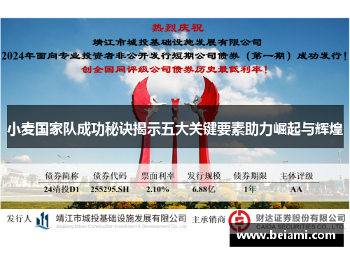 小麦国家队成功秘诀揭示五大关键要素助力崛起与辉煌